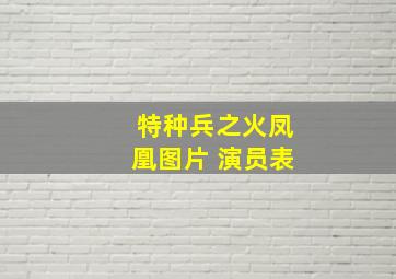 特种兵之火凤凰图片 演员表